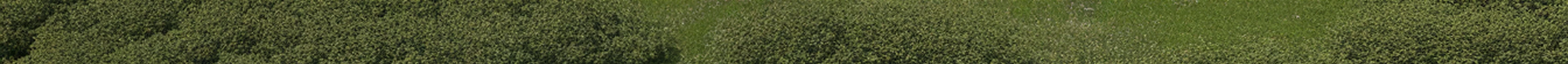 Render